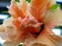 Hibiscus 3 * 648 x 486 * (82KB)